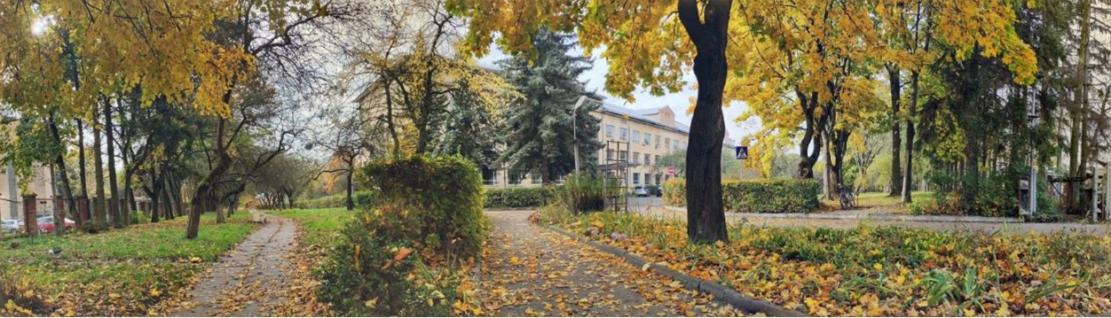 Фізико-механічний інститут